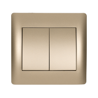 RHYME TWO BUTTONS ONE WAY SWITCH CHAMPAGNE METALLIC