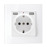 GERMAN TYPE SOCKET 16A WITH 2XUSB GLASS FRAME WH