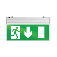 XL5113-EMERGENCY LIGHT DOWN ARROW      