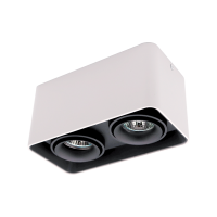 DL-044 SQUARE DOUBLE DOWNLIGHT SURFACE MOUNTED BLACK/WHITE