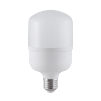 LED LAMP SMD2835 30W E27 230V WHITE