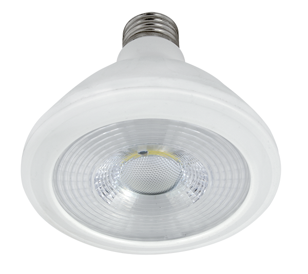LED LAMP LEDCOB PAR30 10W E27 230V WHITE